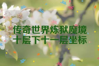 传奇世界炼狱魔境十层下十一层坐标