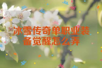 冰雪传奇单职业装备觉醒怎么弄