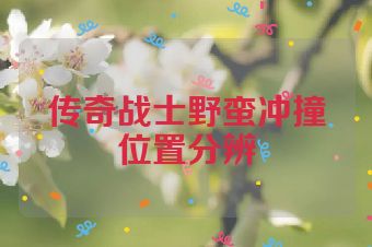 传奇战士野蛮冲撞位置分辨