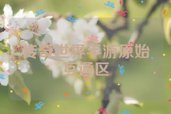传奇世界手游原始互通区