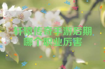 轩辕传奇手游后期哪个职业厉害
