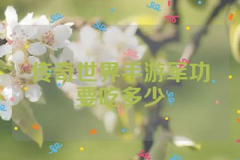 传奇世界手游军功要吃多少