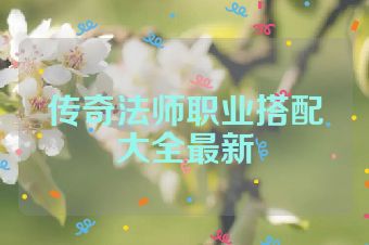 传奇法师职业搭配大全最新