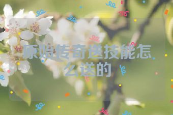 原始传奇送技能怎么送的