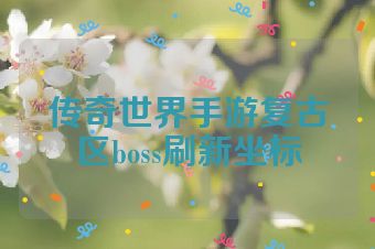 传奇世界手游复古区boss刷新坐标