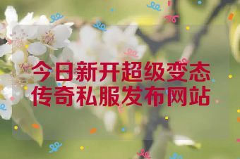今日新开超级变态传奇私服发布网站