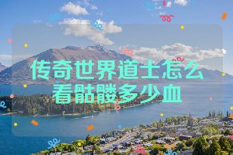 传奇世界道士怎么看骷髅多少血