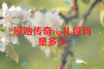 原始传奇vip礼包码是多少