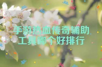 手游热血传奇辅助工具哪个好排行