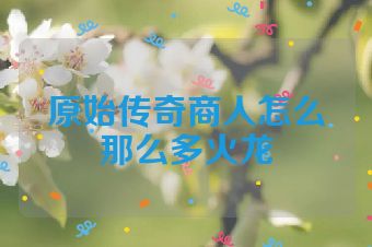 原始传奇商人怎么那么多火龙