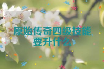 原始传奇四级技能要升什么