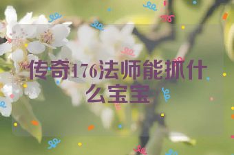 传奇176法师能抓什么宝宝