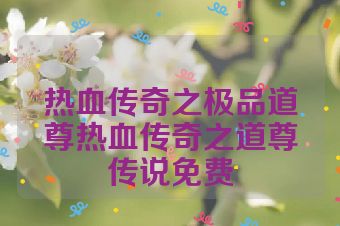 热血传奇之极品道尊热血传奇之道尊传说免费