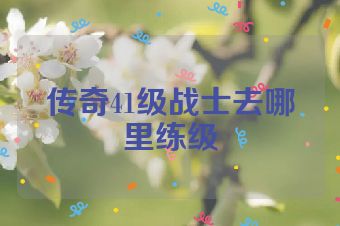 传奇41级战士去哪里练级