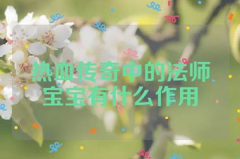热血传奇中的法师宝宝有什么作用