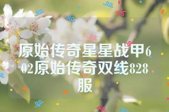 原始传奇星星战甲602原始传奇双线828服