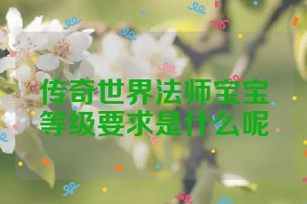 传奇世界法师宝宝等级要求是什么呢
