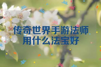 传奇世界手游法师用什么法宝好