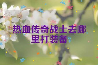 热血传奇战士去哪里打装备