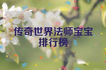 传奇世界法师宝宝排行榜