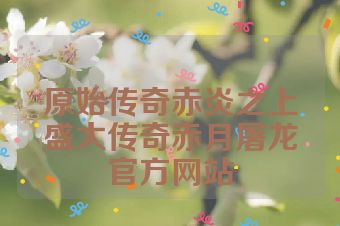 原始传奇赤炎之上盛大传奇赤月屠龙官方网站