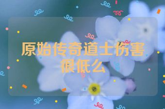 原始传奇道士伤害很低么