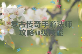 复古传奇手游法师攻略60级技能