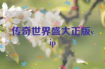 传奇世界盛大正版vip