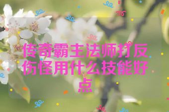 传奇霸主法师打反伤怪用什么技能好点