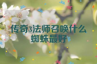传奇3法师召唤什么蜘蛛最好