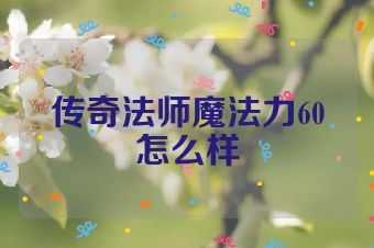 传奇法师魔法力60怎么样