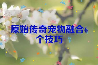 原始传奇宠物融合6个技巧