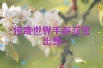 传奇世界手游元宝出售