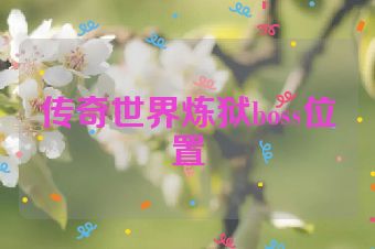 传奇世界炼狱boss位置