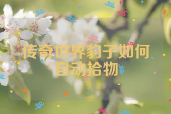 传奇世界豹子如何自动拾物