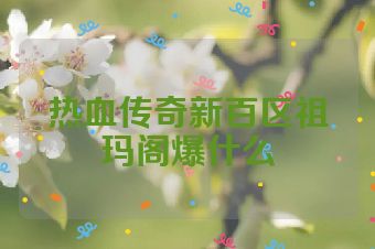 热血传奇新百区祖玛阁爆什么