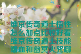 维京传奇道士悟性怎么加点比较好看维京传奇道士技能嗜血和幽冥火咒哪个好点