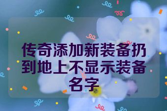 传奇添加新装备扔到地上不显示装备名字