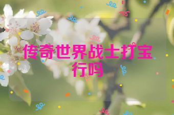 传奇世界战士打宝行吗