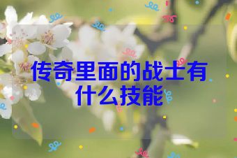 传奇里面的战士有什么技能