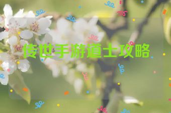 传世手游道士攻略
