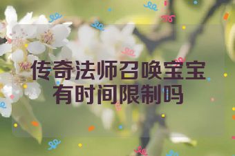 传奇法师召唤宝宝有时间限制吗