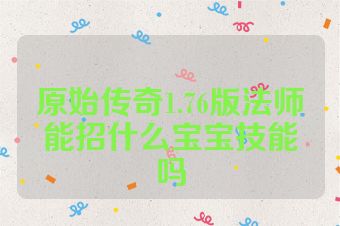 原始传奇1.76版法师能招什么宝宝技能吗