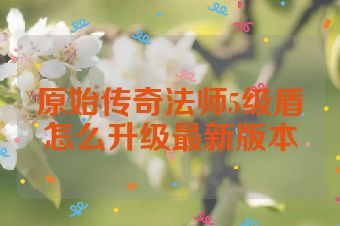 原始传奇法师5级盾怎么升级最新版本