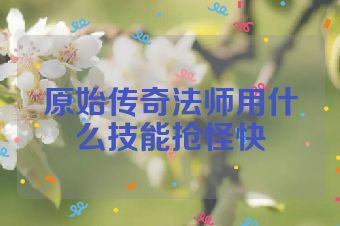 原始传奇法师用什么技能抢怪快