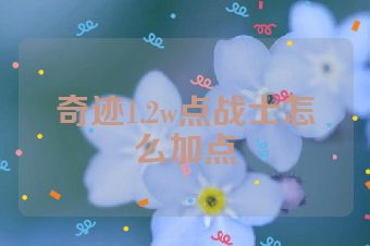奇迹1.2w点战士怎么加点
