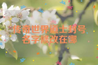 传奇世界道士封号名字修改在哪