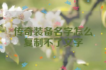 传奇装备名字怎么复制不了文字
