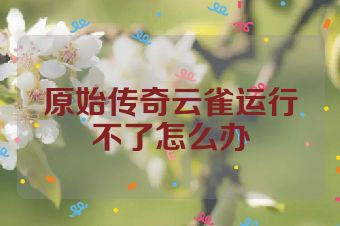原始传奇云雀运行不了怎么办