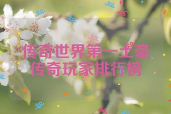 传奇世界第一土豪传奇玩家排行榜
